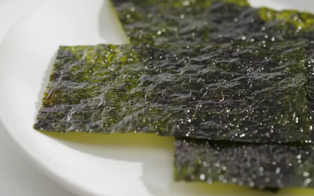 Nori Qualität prüfen: Farbe, Knack, Transparenz und Jod